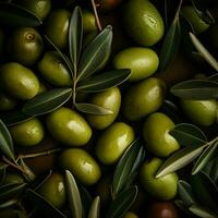 olive Contexte fond d'écran photo