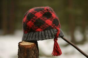 une de laine oreillette casquette avec une plaid modèle photo