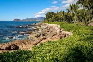 îles hawaïennes tropicales photo