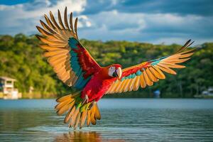 nationale animal de Belize photo