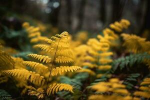 Jaune l'automne fougère branches dans vert forêt photo