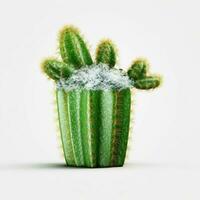 cactus glacière avec transparent Contexte haute qualité ul photo