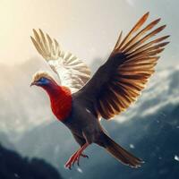 nationale oiseau de Népal haute qualité 4k ultra HD photo
