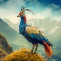 nationale oiseau de Népal haute qualité 4k ultra HD photo