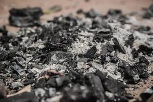 charbon de bois sec et cendres photo