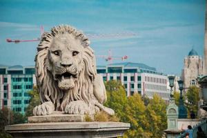 statue de lion au pont des chaînes, budapest, hongrie