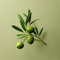 olive minimaliste fond d'écran haute qualité 4k hdr photo