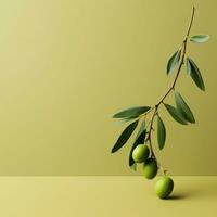 olive minimaliste fond d'écran haute qualité 4k hdr photo