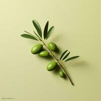 olive minimaliste fond d'écran haute qualité 4k hdr photo