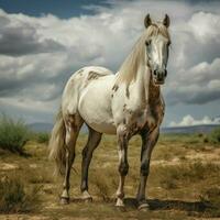 photo de cheval plein coup haute qualité hdr 16k ultra HD