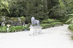statue de lion dans un jardin photo