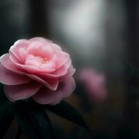 le Japonais camélia grâces le jardin avec ses classique et raffiné beauté ,ai généré photo