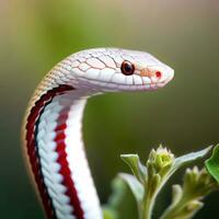 le complexe motifs sur le rouge Lait serpents peau révéler le talent artistique de évolution ,ai généré photo