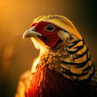 une fermer de le faisan resplendissant plumage dans parfait lumière du soleil ,ai généré photo