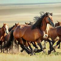 cheval fonctionnement poney cheval, sauvage cheval étalon ,ai généré photo