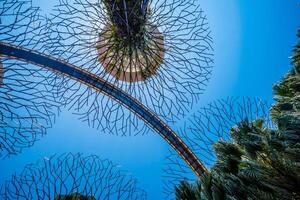 passerelle à le super-arbre bosquet à jardins par le baie dans Singapour photo