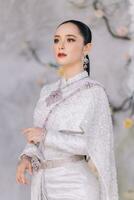 magnifique thaïlandais fille dans thaïlandais traditionnel costume.mariée thaïlandais fille belle. photo