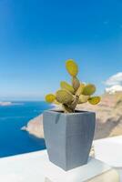 Santorin minimal Contexte avec traditionnel vase et cactus sur verticale méditerranéen paysage avec blanc architecture et bleu mer ciel. fantastique Santorin rue, Urbain détails. Voyage paysage photo