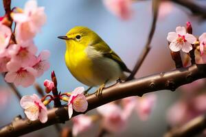 Jaune oiseau sur Sakura arbre, ai génératif photo