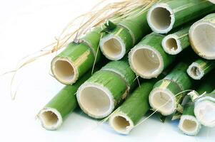une bouquet de bambou des bâtons lié ensemble avec ficelle photo