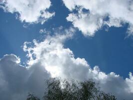 Naturel Contexte. magnifique rond Cadre formé par arbre couronnes. nuageux bleu ciel. ensoleillé été journée photo
