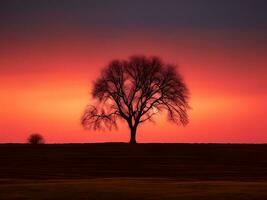 une seul arbre des stands dans le milieu de une champ à le coucher du soleil photo