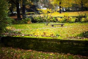 arbres saisonniers et routes nature verte dans le parc photo