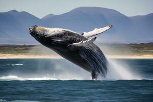 une gros baleine sauter moitié en dehors de le eau.ai génératif photo