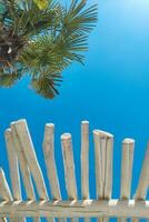 le toit de une tropical bungalow avec une paume arbre contre le ciel, protection de le Soleil photo