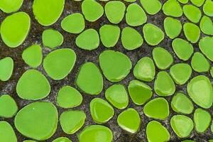 vert texture mosaïque de céramique de rond forme photo