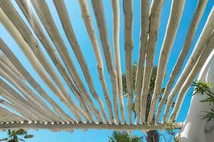 le toit de une tropical bungalow avec une paume arbre contre le ciel, protection de le Soleil photo