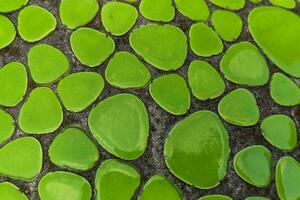 vert texture mosaïque de céramique de rond forme photo