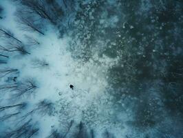 aérien vue de une Autoroute enroulement par une forêt dans tous les deux été et hiver saisons. génératif ai photo