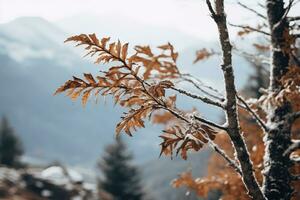 doux Montagne forêt brise, neigeux ciel toile de fond, balancement hiver végétaux, et serein branches dans une tranquille Naturel scène. génératif ai photo