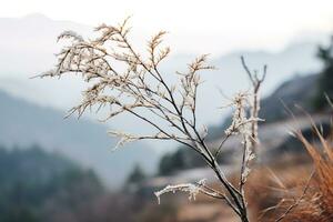 doux Montagne forêt brise, neigeux ciel toile de fond, balancement hiver végétaux, et serein branches dans une tranquille Naturel scène. génératif ai photo