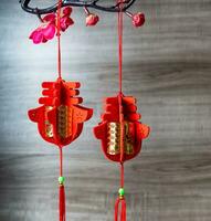 lanterne Festival et content chinois Nouveau année avec rouge lanternes. photo
