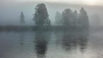 Scènes de la nature du matin à Hayden Valley Yellostone Wyoming photo