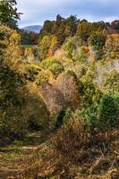 paysage d'automne pittoresque en Virginie-Occidentale photo