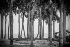 Scènes de plage à l'île de chasse en Caroline du Sud photo