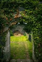 vieux trop développé cambre sur une vieux, médiéval domaine, llanfairfechan, Nord Pays de Galles, Cymru, Royaume-Uni photo