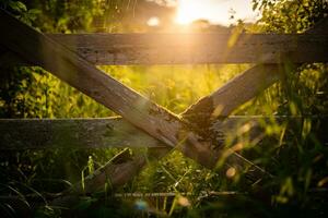 porte dans une en bois clôture sur une sentier vers forêt proche à Brighton, est sussexe, Royaume-Uni photo