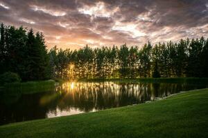 le coucher du soleil ou lever du soleil visible par le des arbres sur une côté de une Lac photo