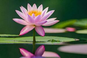 une rose lotus fleur est flottant dans le l'eau. généré par ai photo