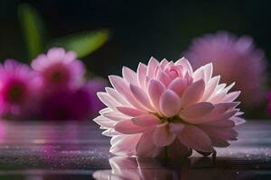 rose fleurs dans le l'eau avec une réflexion. généré par ai photo