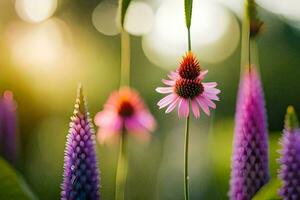 violet fleurs dans le Soleil avec floue Contexte. généré par ai photo