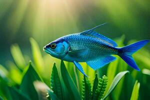 bleu poisson dans le herbe avec lumière du soleil brillant à travers. généré par ai photo