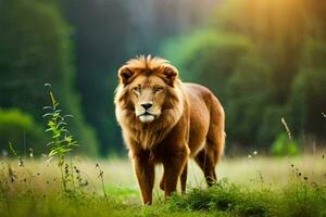 une Lion est en marchant par une champ avec herbe et des arbres. généré par ai photo