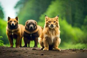 Trois marron et noir chats permanent dans le les bois. généré par ai photo