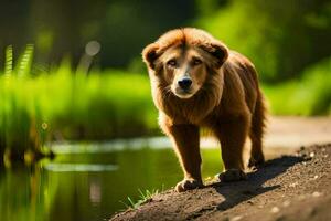 une marron chien est permanent sur le côté de une rivière. généré par ai photo