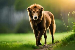 une Lion en marchant sur une chemin dans le herbe. généré par ai photo